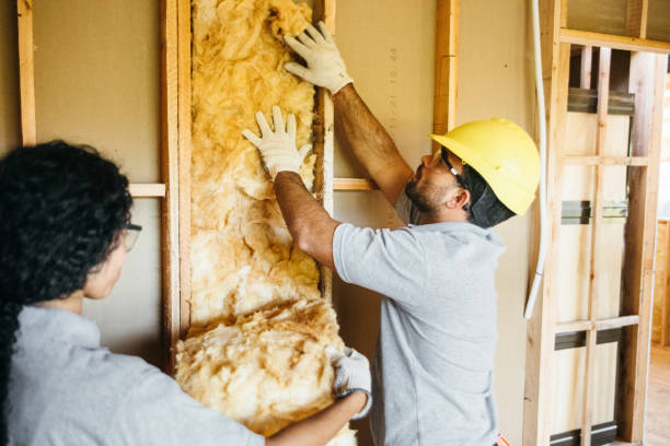 Best Insulation for New Construction  in Harleysville, PA